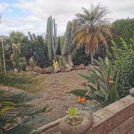 Los Cactus Santa Cruz de Tenerife Buitenkant foto