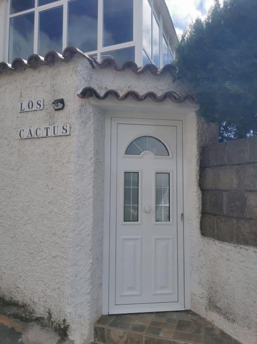 Los Cactus Santa Cruz de Tenerife Buitenkant foto