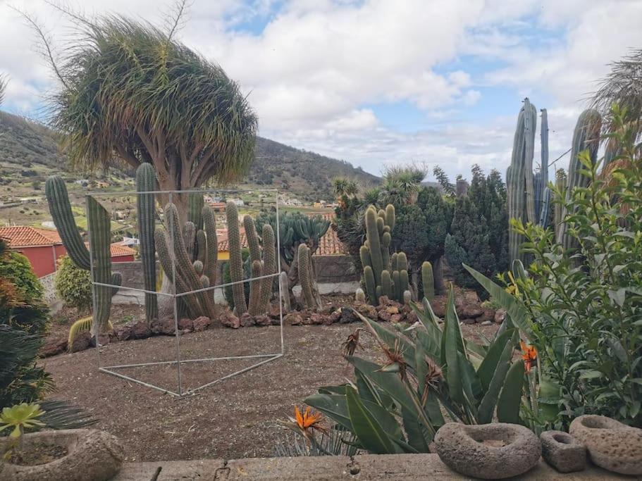 Los Cactus Santa Cruz de Tenerife Buitenkant foto
